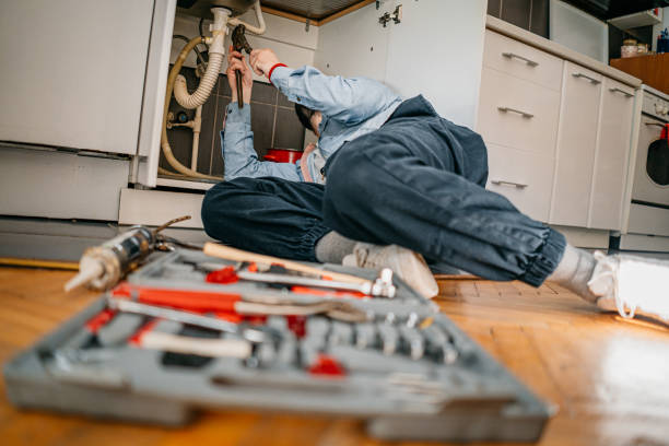 Best Clogged Drain Plumber  in Algoma, WI